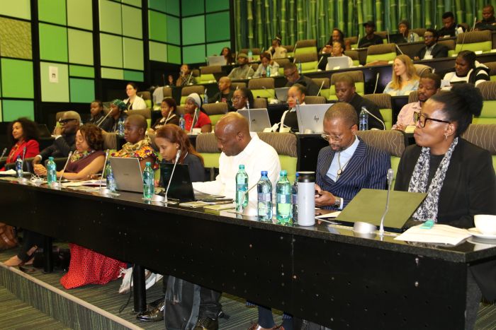 Unisa  AUD-NEPAD- Photo_banner.JPG